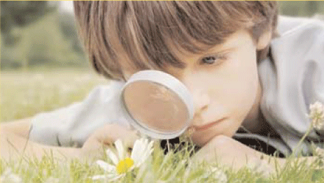 child with magnifying glass looking at bug